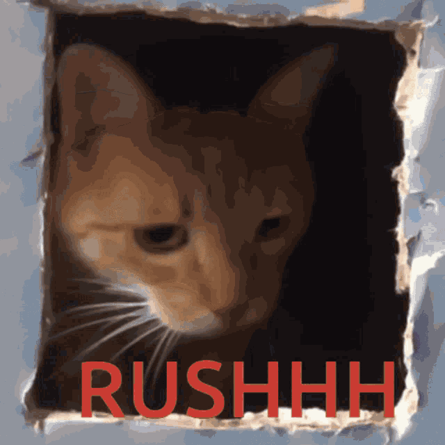 Chat Rush GIF - Chat Rush Warzone GIFs