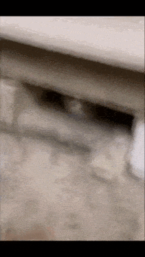 a cat is hiding under a table in a corner