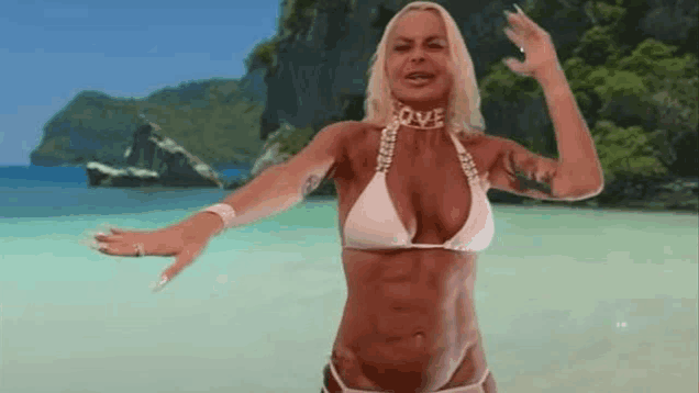 a woman in a bikini is standing on a beach .