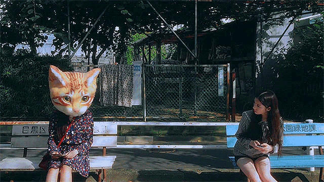 Staring Cat Girl GIF - Staring Cat Girl Loona GIFs