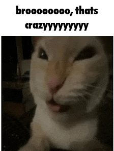 a close up of a cat making a funny face