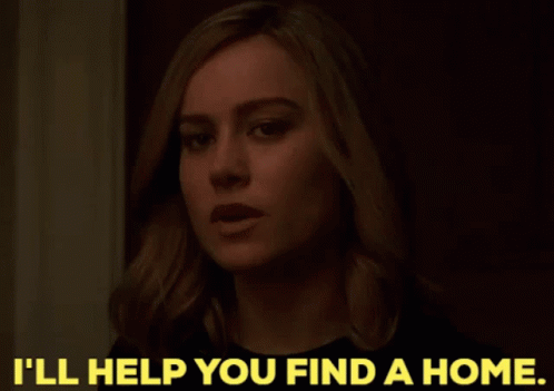 Captain Marvel Ill Help You Find A Home GIF - Captain Marvel Ill Help You Find A Home Carol Danvers GIFs
