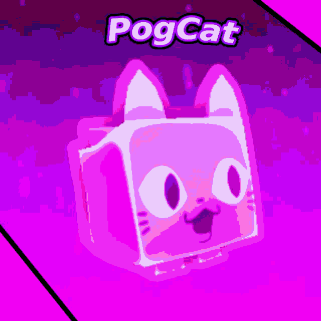 Pogcat Discord GIF - Pogcat Discord Pog GIFs