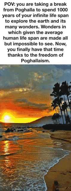 a picture of a beach with a caption that says pov you are taking a break from poghalla to spend 1000 years