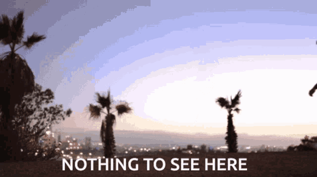 Nothing To See Here Nothing GIF - Nothing To See Here Nothing See Here GIFs