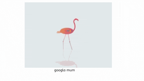a picture of a flamingo with google written on its body