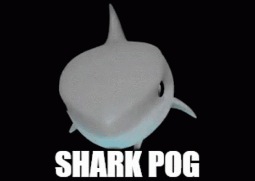 Reaction Shark Pog GIF - Reaction Shark Pog Pog Shark GIFs