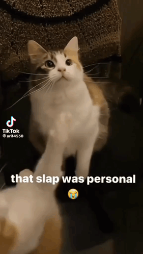 Slap GIF - Slap GIFs