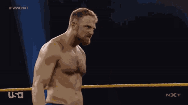 a shirtless wrestler is standing in a wrestling ring with a usa logo behind him