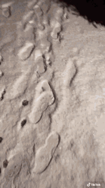 a black and white photo of a person 's footprints in the sand