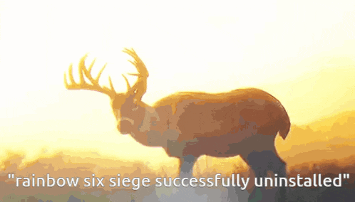 a deer stands in a field with the words " rainbow six siege successfully uninstalled " below it