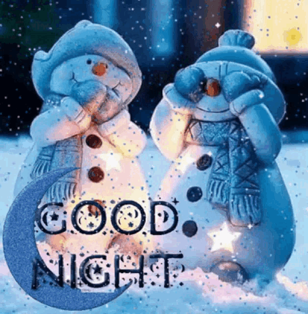 two snowmen are standing next to each other in the snow with the words `` good night '' written above them .