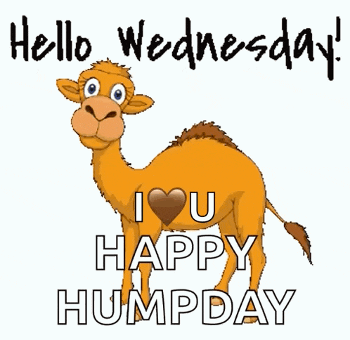 a cartoon camel says i love u happy humpday