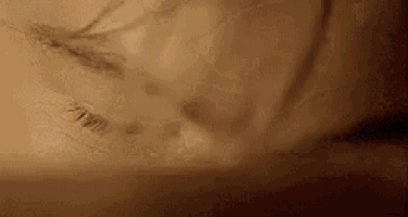a close up of a person 's face with their eyes closed and their mouth open .