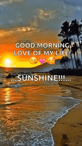 a sunset on a beach with the words `` good morning love of my life ! ''