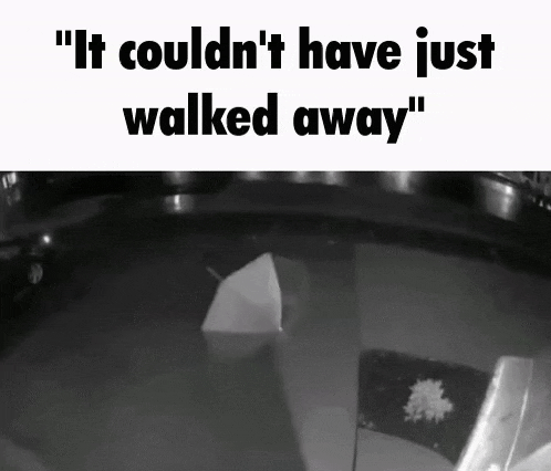 a black and white photo with the words " it couldn t have just walked away "