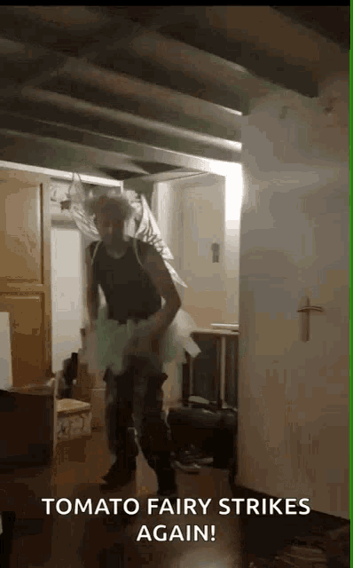 a man in a fairy costume is dancing in a room with the words tomato fairy strikes again