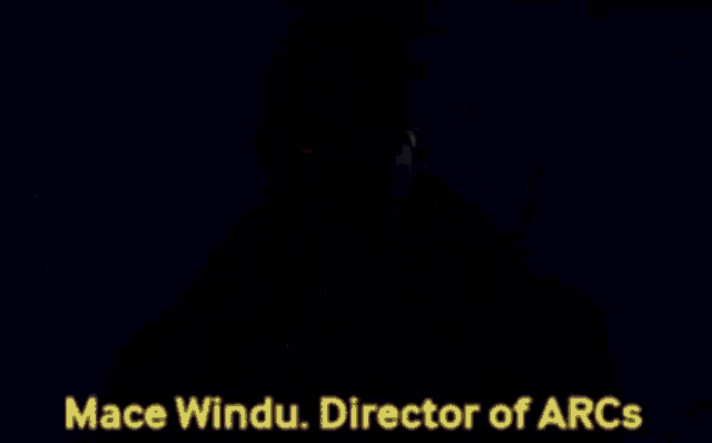 mace windu is the director of arcs and is wearing an eye patch