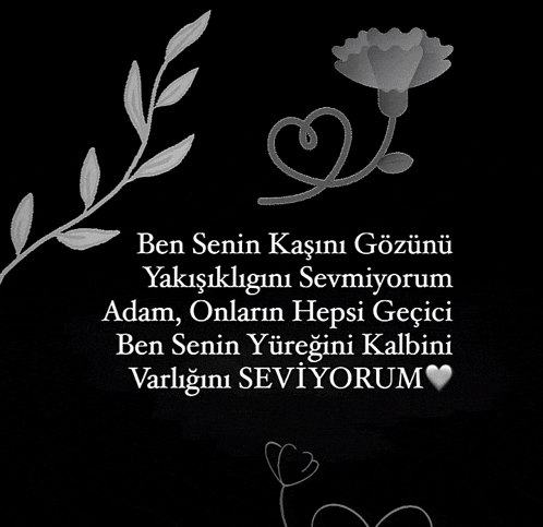 a black and white drawing of a flower with the words " ben senin kasini gozunu "