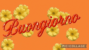 a picture of yellow flowers with the words buongiorno in red