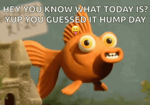 You Know It Fish GIF