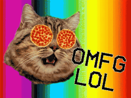 Cat Crazy GIF - Cat Crazy Lol GIFs