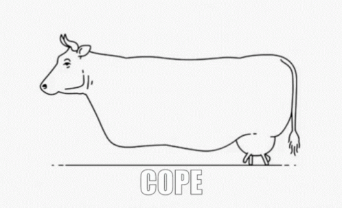 Cope Cow GIF - Cope Cow Cope Cow GIFs