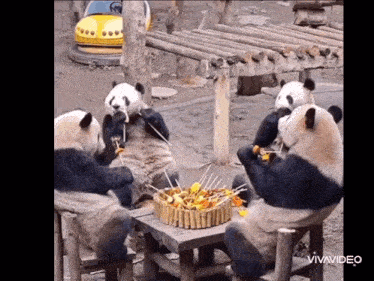 a group of panda bears are sitting around a table eating