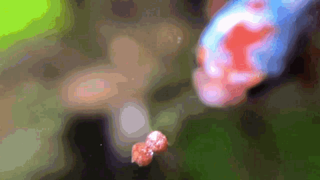 a blurred image of a person 's hand reaching for a red object