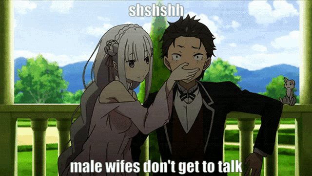 a picture of a man and woman with a caption that says male wifes don 't get to talk