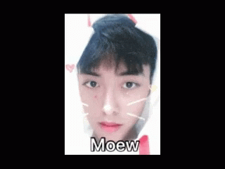 Belloooo Meow GIF - Belloooo Meow Cute GIFs