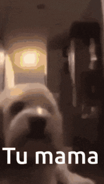 a dog is looking at the camera with the words tu mama on the bottom