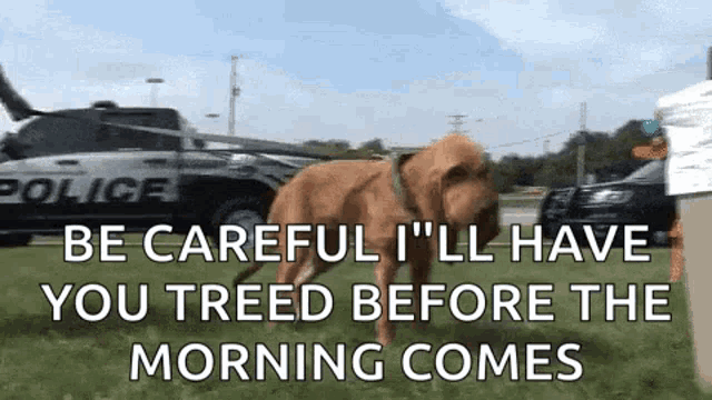 a dog is walking in front of a police car and says be careful