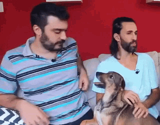 two men are sitting on a couch with a dog looking at them