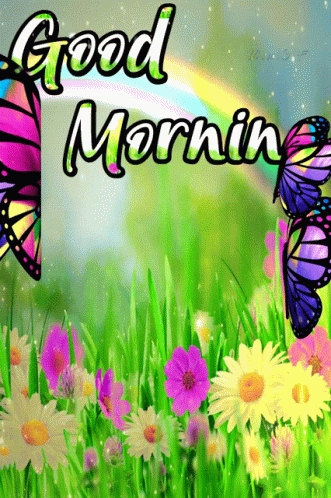 Good Morning Morning GIF - Good Morning Morning Flowers GIFs