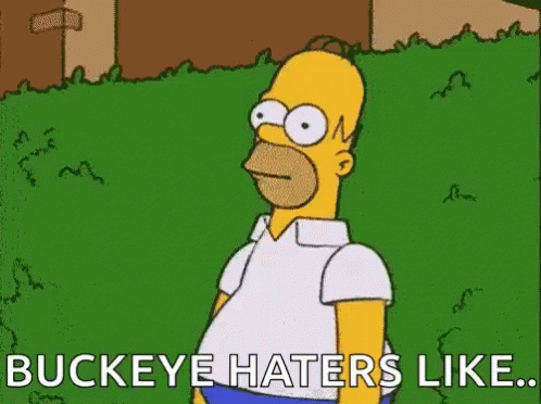 Ohio State Buckeyes Homer Simpsons GIF - Ohio State Buckeyes Homer Simpsons Hide GIFs