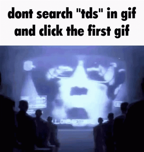 Tds 1984 GIF - Tds 1984 1984moment GIFs