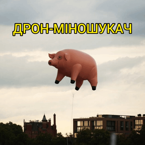 свинья свинка GIF - свинья свинка дрон GIFs