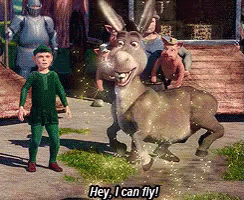 Hey, I Can Fly! GIF - Shrek Donkey Fly GIFs