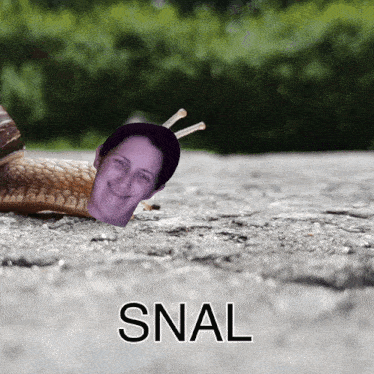 Queen Cobra Jab Snail GIF - Queen Cobra Jab Snail Slither GIFs