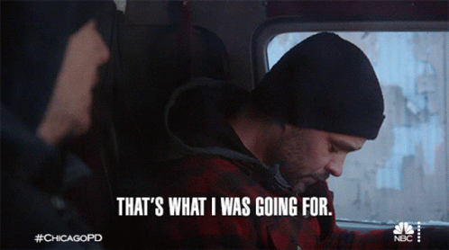 Thats What I Was Going For Adam Ruzek GIF - Thats What I Was Going For Adam Ruzek Chicago Pd GIFs