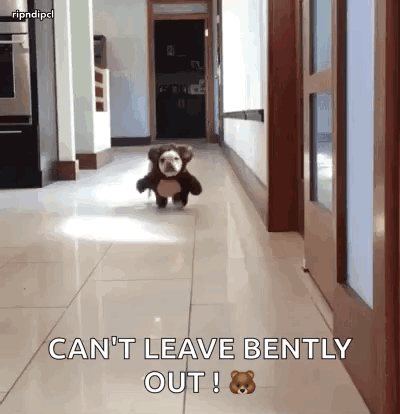 Funnyanimals Dogs GIF - Funnyanimals Dogs Cute GIFs