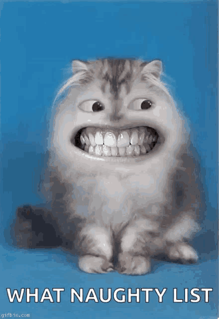 a picture of a cat with a big smile and the words what naughty list below it