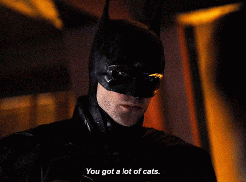 The Batman You Got A Lot Of Cats GIF - The Batman You Got A Lot Of Cats Robert Pattinson GIFs
