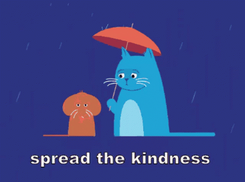 Spread The Kindness Cat GIF - Spread The Kindness Cat Raining GIFs