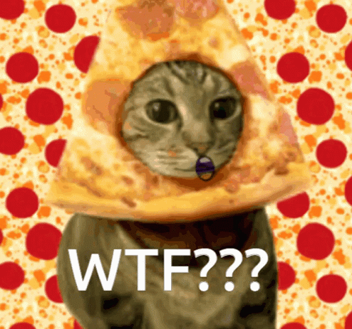 Pergunte Ao Gato Pizza Kaukkakanom GIF - Pergunte Ao Gato Pizza Kaukkakanom GIFs