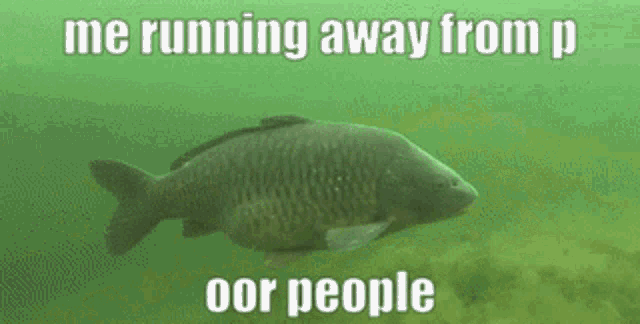 a fish is swimming in the water with the words `` me running away from p oor people '' written on it .