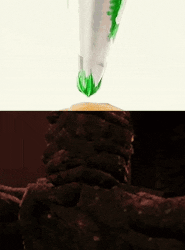 a green leaf is coming out of a piping bag on a pine cone