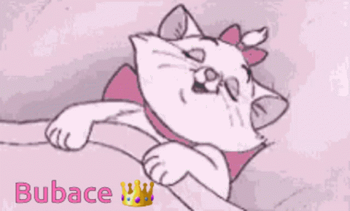 Bubace Crown GIF - Bubace Crown Cat GIFs