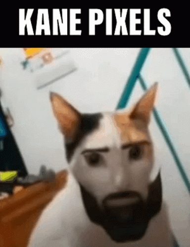 Kane Pickles Kane Pixels GIF - Kane Pickles Kane Pixels GIFs